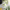 https://res.cloudinary.com/billionhands/image/upload/v1765447390/items/lrh5dav0jqfmgncyqepe.jpg-3cover