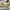 https://res.cloudinary.com/billionhands/image/upload/v1765447428/items/ygmt5paefkjhfvifzpyv.avif-1cover