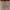 https://res.cloudinary.com/billionhands/image/upload/v1765448819/items/ac22dzvww9q7g7mo5gdb.jpg-0cover