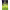 https://res.cloudinary.com/billionhands/image/upload/v1765448859/items/yuhm2l5cocrc0rp68lpj.webp-1cover