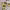 https://res.cloudinary.com/billionhands/image/upload/v1765449304/items/klrzrkau6ex1ogrqihbb.jpg-1cover