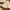 https://res.cloudinary.com/billionhands/image/upload/v1765449318/items/zynm0sucvcoslp3xr8ny.jpg-2cover