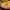 https://res.cloudinary.com/billionhands/image/upload/v1765450070/items/bq4d8mhyeqxxfg8ocrhr.jpg-3cover