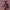 https://res.cloudinary.com/billionhands/image/upload/v1765450677/items/pa36leuwbqp41gecmsob.png-1cover