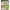 https://res.cloudinary.com/billionhands/image/upload/v1765451990/items/otgyicl8m3dkrdefdfxk.png-2cover