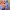 https://res.cloudinary.com/billionhands/image/upload/v1765452294/items/gcdlppkmmedqsw02jtv0.jpg-2cover