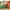 https://res.cloudinary.com/billionhands/image/upload/v1765453587/items/nditw2guelxvhiikzdwl.png-1cover