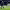 Kylian Mbappé cover