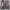 https://res.cloudinary.com/billionhands/image/upload/v1765525020/items/ggivkkze7iqwo2wt9313.jpg-2cover