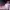 https://res.cloudinary.com/billionhands/image/upload/v1765525458/items/vwxvjwevixwmk7fme5rg.jpg-3cover