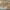 https://res.cloudinary.com/billionhands/image/upload/v1765525488/items/sjuharpwh1fltowd0it6.webp-3cover