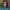 https://res.cloudinary.com/billionhands/image/upload/v1765535560/items/grqonxurwjzcj48xlo1i.webp-0cover