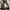 https://res.cloudinary.com/billionhands/image/upload/v1765611388/items/qgjn1pwe3tirzpdp9ypi.jpg-2cover