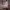https://res.cloudinary.com/billionhands/image/upload/v1765612016/items/s4rqbqwtt7ykxs7omaom.jpg-2cover