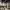 https://res.cloudinary.com/billionhands/image/upload/v1765612040/items/tuxbl6ue3opbhqmphtyi.jpg-3cover