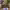 https://res.cloudinary.com/billionhands/image/upload/v1765707027/items/af9zznofom4kpqvyzoik.jpg-2cover