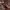 https://res.cloudinary.com/billionhands/image/upload/v1765783519/items/dryppmht5rxh0ulk2hpt.jpg-0cover