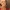 https://res.cloudinary.com/billionhands/image/upload/v1765784442/items/jghscihxa67dkaaoggej.webp-1cover