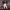 https://res.cloudinary.com/billionhands/image/upload/v1765784443/items/lzwosurermbjct7xuzxa.jpg-2cover