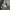 https://res.cloudinary.com/billionhands/image/upload/v1765784464/items/mz9l2dtcva2ssa51vg3f.jpg-0cover