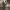 https://res.cloudinary.com/billionhands/image/upload/v1765784501/items/e5u1bz9zhvjttvmrt09n.jpg-3cover
