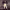 https://res.cloudinary.com/billionhands/image/upload/v1765784504/items/zlvtqnh4ezmxrbeyrn1z.jpg-1cover