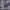 https://res.cloudinary.com/billionhands/image/upload/v1765784542/items/erx3hkyk5smfweofmxhb.jpg-1cover