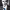 https://res.cloudinary.com/billionhands/image/upload/v1765784542/items/k8b55e0vcspzibvkomwe.jpg-3cover