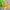 https://res.cloudinary.com/billionhands/image/upload/v1765870853/items/e5b3xcad4ij8q7wtwpql.jpg-2cover