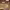 https://res.cloudinary.com/billionhands/image/upload/v1765883511/items/bvgf6mbwsbcemu4ywdbp.jpg-2cover