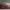 https://res.cloudinary.com/billionhands/image/upload/v1765883805/items/jlkbxmkb0oepa2mr6vnv.webp-1cover