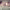 https://res.cloudinary.com/billionhands/image/upload/v1765957197/items/qscy4lyzzihq9l9oo513.webp-3cover
