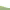 https://res.cloudinary.com/billionhands/image/upload/v1765972286/items/btmrfjfokyb3lopdkbi5.jpg-2cover