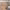 https://res.cloudinary.com/billionhands/image/upload/v1766043921/items/eufnq0kste5ssqewwxad.jpg-3cover