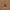 https://res.cloudinary.com/billionhands/image/upload/v1766043947/items/xrsniw5qtusvcy95wmdv.jpg-2cover