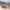 https://res.cloudinary.com/billionhands/image/upload/v1766129659/items/g34av6cmxkmx5mn5mmgp.jpg-3cover