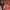 https://res.cloudinary.com/billionhands/image/upload/v1766130192/items/cwxfkfvswzyasfvil4vz.jpg-2cover
