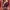 https://res.cloudinary.com/billionhands/image/upload/v1766130193/items/rkiizxy4xrtovsjaf0fr.jpg-3cover