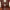 https://res.cloudinary.com/billionhands/image/upload/v1766130564/items/cbj0pps4qaokukbbevx7.avif-2cover