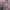 https://res.cloudinary.com/billionhands/image/upload/v1766130581/items/ijwippjrymrbmkfinzr1.jpg-1cover