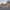 https://res.cloudinary.com/billionhands/image/upload/v1766130627/items/cff21gbaqnkd8geyxs4x.jpg-0cover