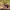 https://res.cloudinary.com/billionhands/image/upload/v1766227072/items/ogmdjcfkeblacj5brusv.jpg-1cover