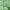 https://res.cloudinary.com/billionhands/image/upload/v1766303538/items/gdtxf6lxnruj50r8bthw.webp-0cover
