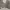 https://res.cloudinary.com/billionhands/image/upload/v1766304572/items/lwsyz9stfjiuw7kp8veg.jpg-2cover