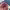 https://res.cloudinary.com/billionhands/image/upload/v1766304619/items/e8lidowpcmkin3jxvnkd.avif-3cover