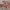 https://res.cloudinary.com/billionhands/image/upload/v1766304638/items/rsqndik75jmgcab3jvqz.jpg-3cover