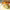 https://res.cloudinary.com/billionhands/image/upload/v1766304657/items/ja1vwvvis17xznbi5vil.jpg-2cover