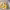 https://res.cloudinary.com/billionhands/image/upload/v1766304667/items/iewqg6wthqiuvpdhoqcw.jpg-2cover