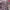 https://res.cloudinary.com/billionhands/image/upload/v1766389478/items/h4qnnhtz8spljnnmjmab.jpg-1cover