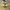 https://res.cloudinary.com/billionhands/image/upload/v1766389519/items/wcfsfgd4lqiljwxr6sw4.jpg-1cover